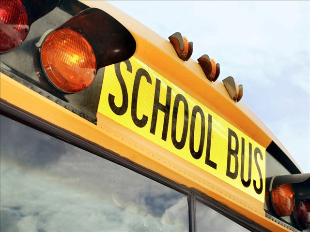 Bus